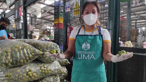 ¿Por qué el sueldo mínimo en Perú no se actualiza cada año? ¿Por qué el sueldo mínimo en Perú no se actualiza cada año?