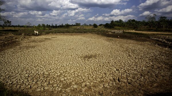 Fenómenos del Niño provocan billones en pérdida de crecimiento económico: Estudio Fenómenos del Niño provocan billones en pérdida de crecimiento económico: Estudio