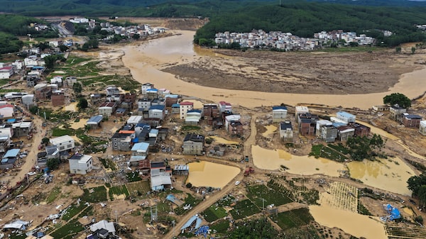 Inundaciones en China dejan cientos de serpientes sueltas: se reporta al menos una víctima mortal Inundaciones en China dejan cientos de serpientes sueltas: se reporta al menos una víctima mortal