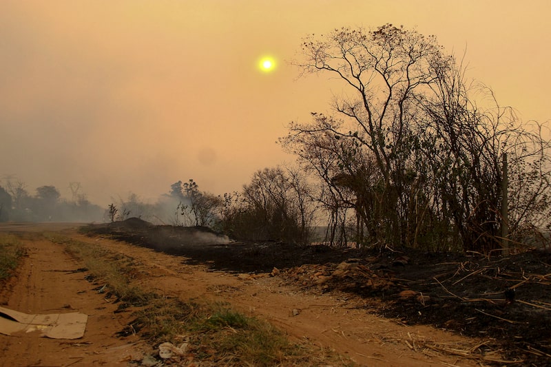 Hasta 5 millones de toneladas métricas de caña de azúcar podrían haberse perdido en Sao Paulo debido a los incendios, según dos estimaciones preliminares. Hasta 5 millones de toneladas métricas de caña de azúcar podrían haberse perdido en Sao Paulo debido a los incendios, según dos estimaciones preliminares.