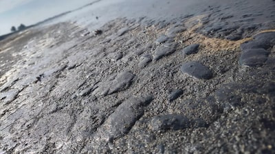 Organizaciones señalan que derrame petrolero comenzó en un ducto de Pemex; Sheinbaum investiga si hay fugas Organizaciones señalan que derrame petrolero comenzó en un ducto de Pemex; Sheinbaum investiga si hay fugas