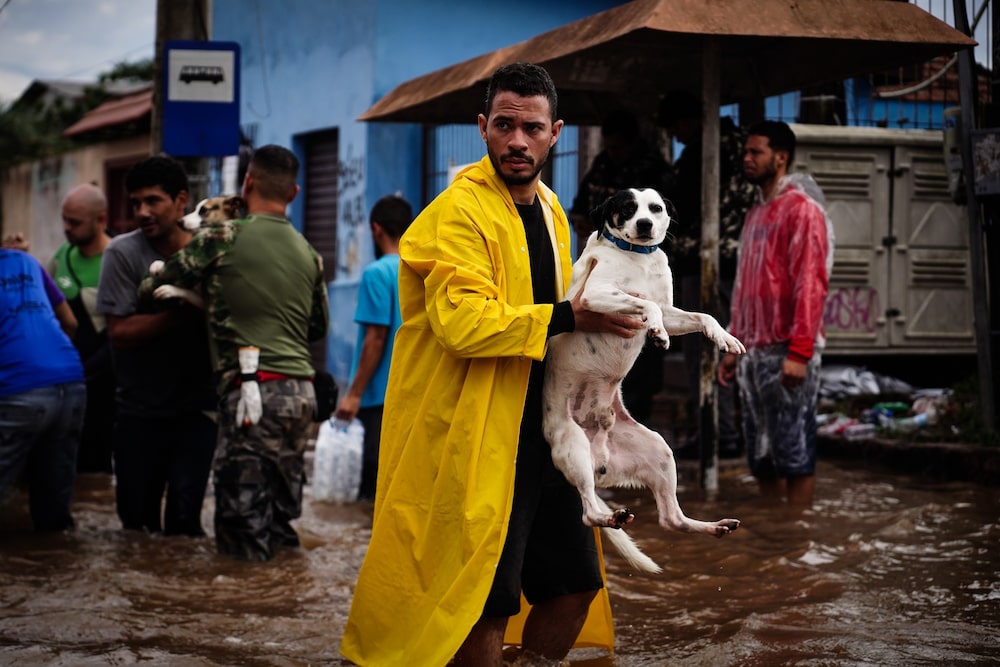 Un residente lleva un perro a través de las aguas inundadas en Canoas, estado de Rio Grande do Sul, Brasil, el domingo. Un residente lleva un perro a través de las aguas inundadas en Canoas, estado de Rio Grande do Sul, Brasil, el domingo.