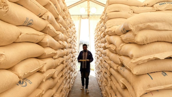 ONU advierte de riesgos alimentarios de las restricciones al comercio de fertilizantes y energía ONU advierte de riesgos alimentarios de las restricciones al comercio de fertilizantes y energía