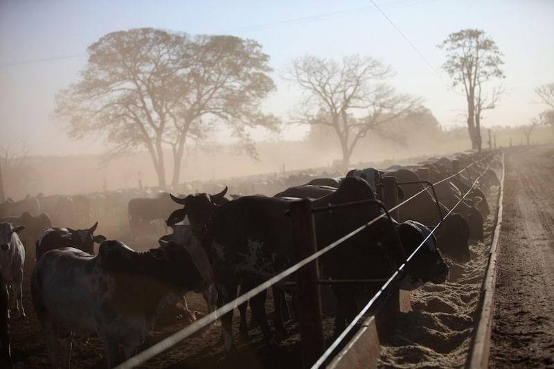 Brazil’s Beef Giant Minerva Set to Acquire Marfrig Assets for $1.5 Billion Brazil’s Beef Giant Minerva Set to Acquire Marfrig Assets for $1.5 Billion