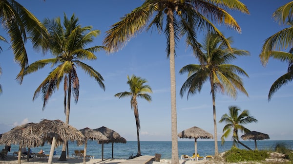 Cuba comienza a cerrar resorts por la crisis de combustible que afecta al turismo Cuba comienza a cerrar resorts por la crisis de combustible que afecta al turismo