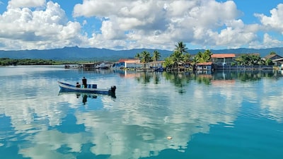 Panamá presenta su plan para mitigar el cambio climático Panamá presenta su plan para mitigar el cambio climático