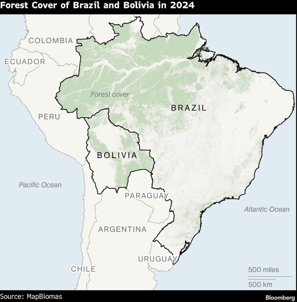 Forest Cover of Brazil and Bolivia Forest Cover of Brazil and Bolivia