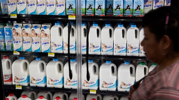 Sheinbaum reactiva aranceles al arroz, frijol, leche y otros alimentos para ayudar a productores locales Sheinbaum reactiva aranceles al arroz, frijol, leche y otros alimentos para ayudar a productores locales