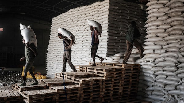 El mundo no va por buen camino para acabar con el hambre, según la ONU El mundo no va por buen camino para acabar con el hambre, según la ONU