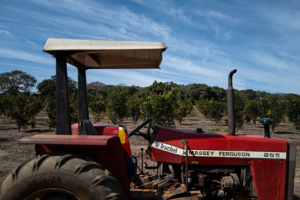 A tractor during a tangerine and orange harvest in Piedade dos Gerais, Minas Gerais state, Brazil, on Tuesday, July 9, 2024. Brazil is expected to release economic activity and GDP data on July 14. Photographer: Lucas Landau/Bloomberg A tractor during a tangerine and orange harvest in Piedade dos Gerais, Minas Gerais state, Brazil, on Tuesday, July 9, 2024. Brazil is expected to release economic activity and GDP data on July 14. Photographer: Lucas Landau/Bloomberg