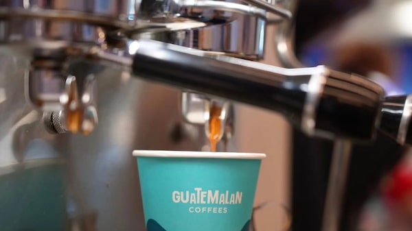 Cafés de especialidad de Centroamérica se cotizan hasta en US$450 por libra Cafés de especialidad de Centroamérica se cotizan hasta en US$450 por libra