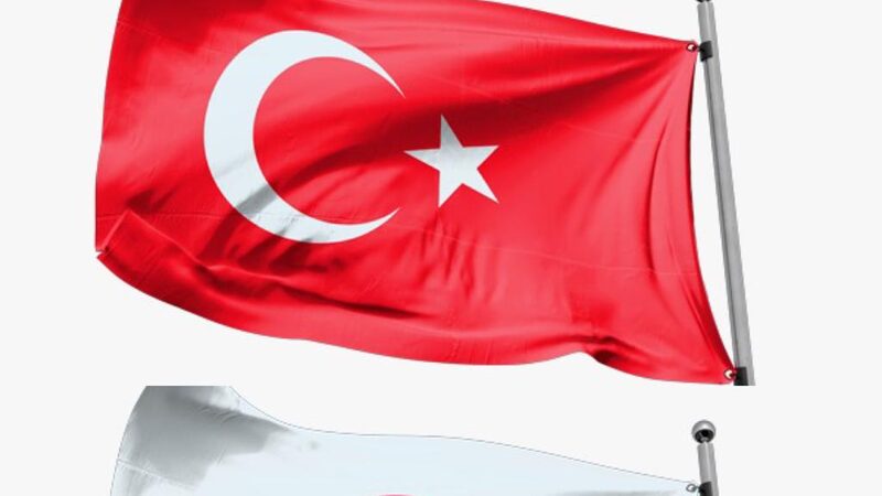 Más de 10 años desde su anuncio: ¿qué pasó con los TLC de Colombia con Turquía y Japón? Más de 10 años desde su anuncio: ¿qué pasó con los TLC de Colombia con Turquía y Japón?