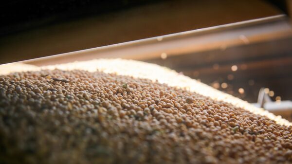 Dólar soja: analistas argentinos coinciden en que la medida “compra tiempo” Dólar soja: analistas argentinos coinciden en que la medida “compra tiempo”