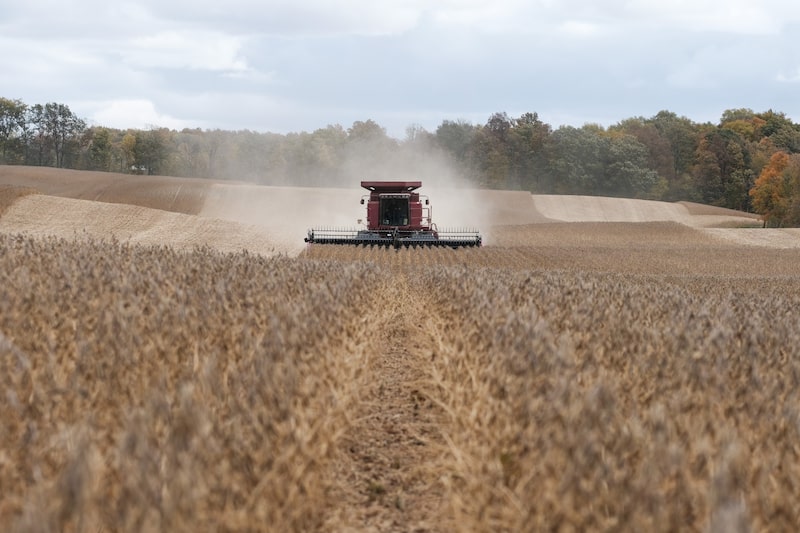 Una cosechadora corta, trilla y limpia la soja durante la cosecha en Waynesfield, Ohio.
Fotógrafo: Matthew Hatcher/Bloomberg Una cosechadora corta, trilla y limpia la soja durante la cosecha en Waynesfield, Ohio.
Fotógrafo: Matthew Hatcher/Bloomberg