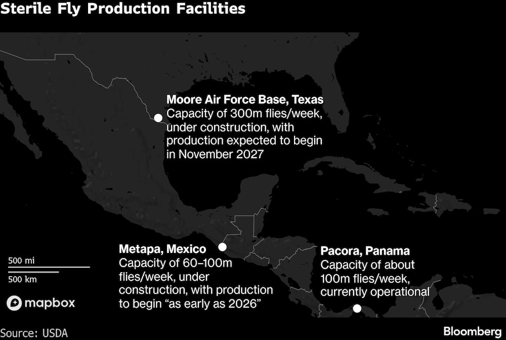 Instalaciones de producción de moscas estériles. Instalaciones de producción de moscas estériles.