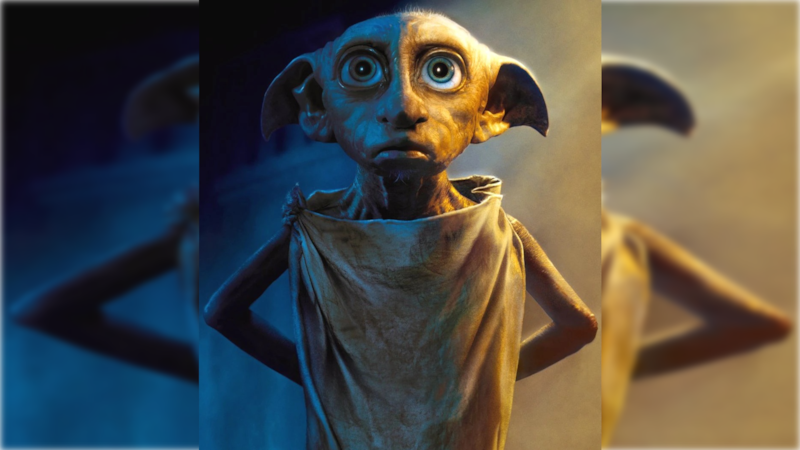 Fans de Harry Potter salvan la tumba de Dobby de millonario cable submarino entre Irlanda y Gales. Fans de Harry Potter salvan la tumba de Dobby de millonario cable submarino entre Irlanda y Gales.