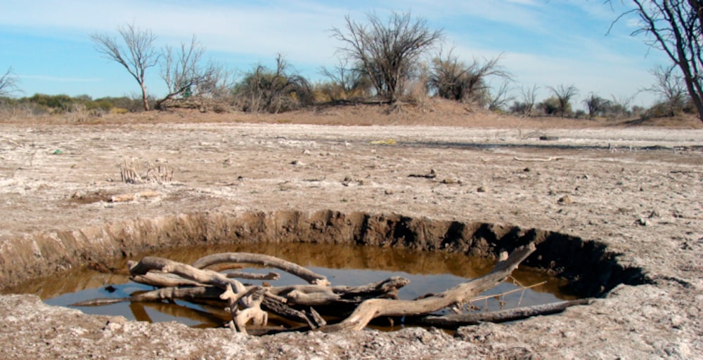 Foto: Gobierno de Argentina Foto: Gobierno de Argentina