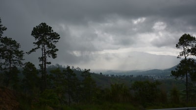 Guatemala recibe US$22,6 millones por primera venta de bonos de carbono Guatemala recibe US$22,6 millones por primera venta de bonos de carbono