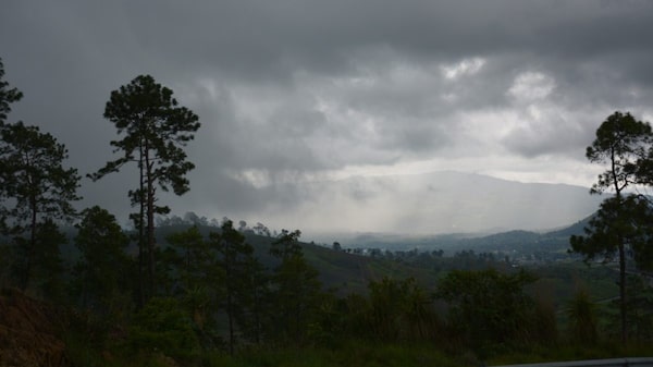 Guatemala recibe US$22,6 millones por primera venta de bonos de carbono Guatemala recibe US$22,6 millones por primera venta de bonos de carbono