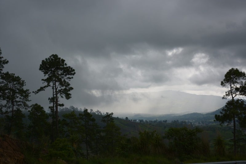 En una imagen referencial, un bosque de Guatemala. En una imagen referencial, un bosque de Guatemala.