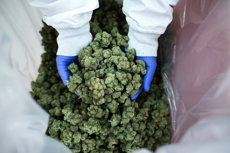 Bloomberg Línea Bloomberg Línea