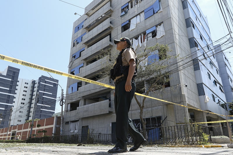 La presidenta peruana, Dina Boluarte, también reconoció la criminalidad en una presentación en el Foro Económico Mundial de Davos. La presidenta peruana, Dina Boluarte, también reconoció la criminalidad en una presentación en el Foro Económico Mundial de Davos.