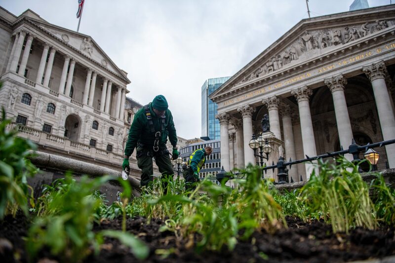 Banco Central de Inglaterra Banco Central de Inglaterra