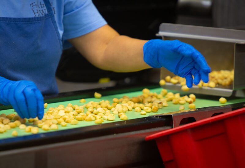 Quais setores podem ser mais afetados pelo conflito no leste europeu Quais setores podem ser mais afetados pelo conflito no leste europeu