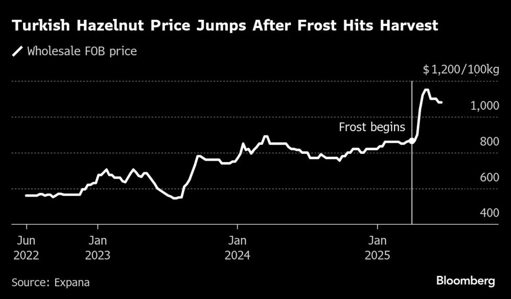 Turkish Hazelnut Price Jumps After Frost Hits Harvest Turkish Hazelnut Price Jumps After Frost Hits Harvest