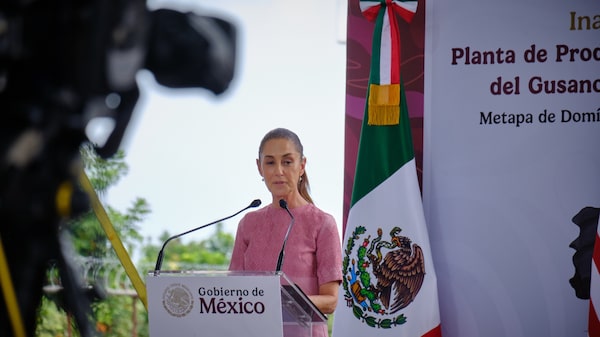 Sheinbaum defiende investigación penal sobre las muertes de migrantes relacionadas con el ICE Sheinbaum defiende investigación penal sobre las muertes de migrantes relacionadas con el ICE