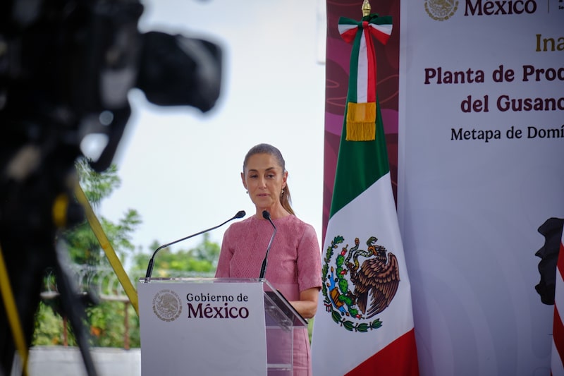 La presidenta de México, Claudia Sheinbaum. La presidenta de México, Claudia Sheinbaum.