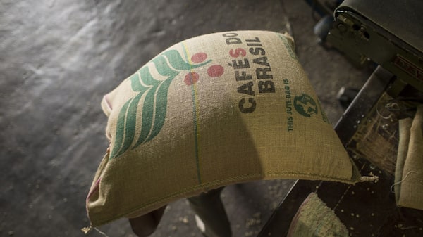 Café arábica amplía sus ganancias ante la expectativa de un real brasileño más fuerte Café arábica amplía sus ganancias ante la expectativa de un real brasileño más fuerte