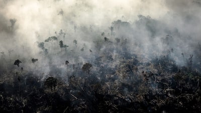 Segundo turno opõe propostas sobre desmatamento, terras indígenas e energia no Brasil Segundo turno opõe propostas sobre desmatamento, terras indígenas e energia no Brasil