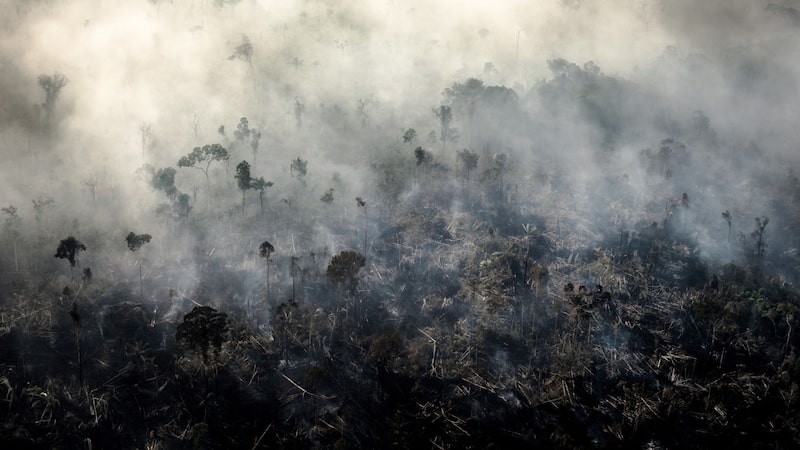 Segundo turno opõe propostas sobre desmatamento, terras indígenas e energia no Brasil Segundo turno opõe propostas sobre desmatamento, terras indígenas e energia no Brasil