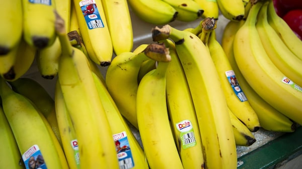 Alimentos lideran alza de precios en línea en EE.UU. en agosto Alimentos lideran alza de precios en línea en EE.UU. en agosto