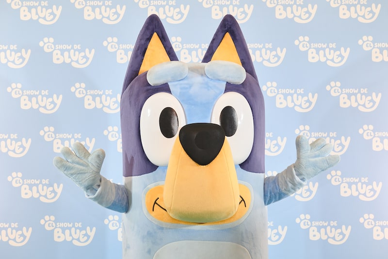 Bluey Bluey