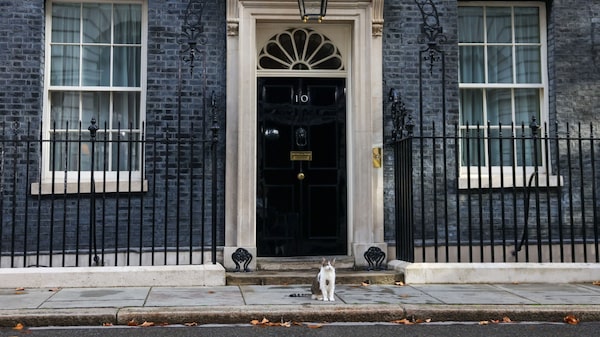 Los principales candidatos para reemplazar a Truss como primer ministro británico Los principales candidatos para reemplazar a Truss como primer ministro británico