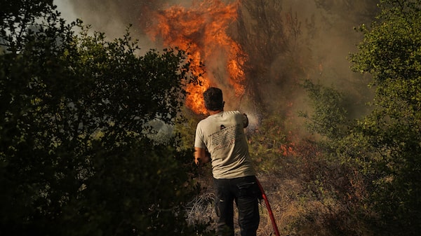 El calor extremo podría matar diez veces más en los países pobres que en los ricos: estudio El calor extremo podría matar diez veces más en los países pobres que en los ricos: estudio