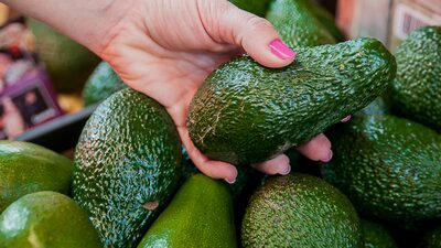 Avocados from Mexico’s CEO Tells ‘Línea Latina’ Podcast How the Fruit Seduced the US Avocados from Mexico’s CEO Tells ‘Línea Latina’ Podcast How the Fruit Seduced the US