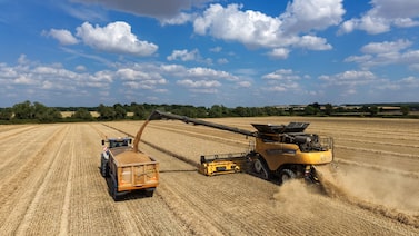 Preços de commodities agrícolas têm maior salto em 14 anos com guerras e El Niño Preços de commodities agrícolas têm maior salto em 14 anos com guerras e El Niño