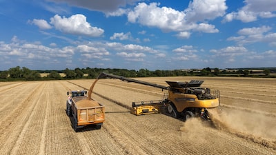 Preços de commodities agrícolas têm maior salto em 14 anos com guerras e El Niño Preços de commodities agrícolas têm maior salto em 14 anos com guerras e El Niño