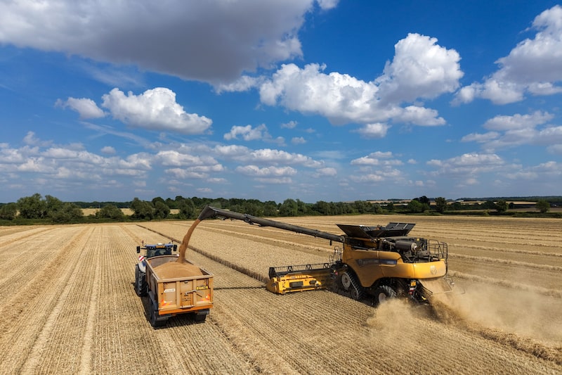 Trigo, açúcar e cacau lideram a disparada das commodities agrícolas Trigo, açúcar e cacau lideram a disparada das commodities agrícolas
