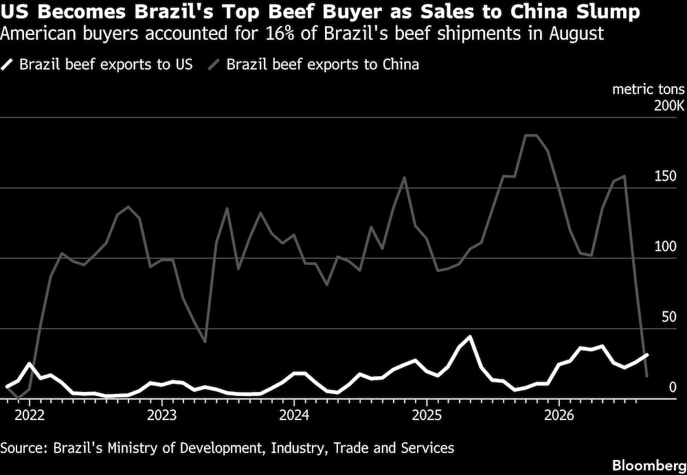 Compradores americanos responderam por 16% dos embarques de carne bovina do Brasil em agosto. Compradores americanos responderam por 16% dos embarques de carne bovina do Brasil em agosto.