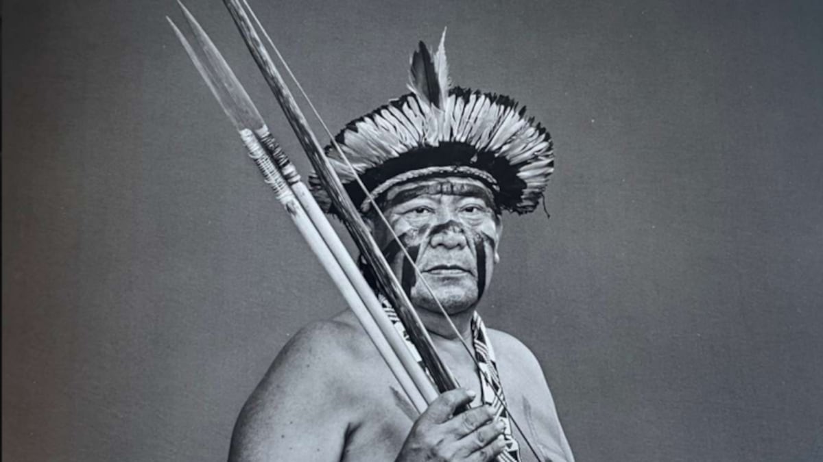 De Roraima à Faria Lima: como o cacau fino amazônico impulsiona a renda indígena