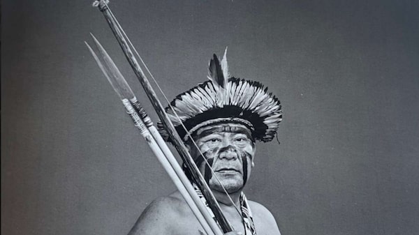 De Roraima à Faria Lima: como o cacau fino amazônico impulsiona a renda indígena De Roraima à Faria Lima: como o cacau fino amazônico impulsiona a renda indígena