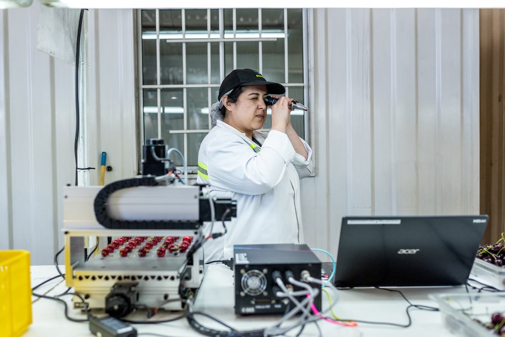 Cereza chilena Cereza chilena