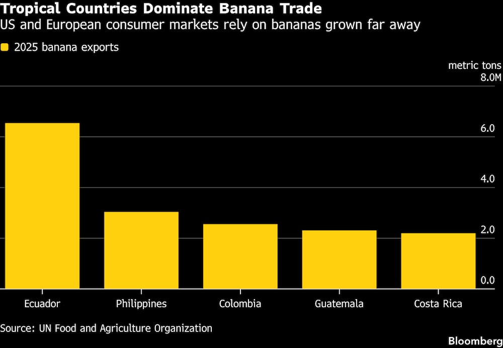 Los mercados de consumo de EE.UU. y Europa dependen de los bananos cultivados en lugares lejanos. Los mercados de consumo de EE.UU. y Europa dependen de los bananos cultivados en lugares lejanos.