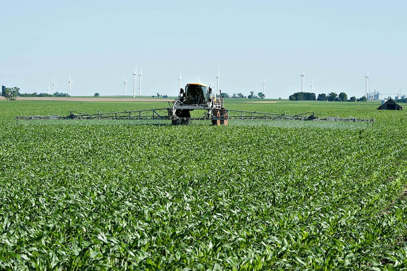 Un agricultor rocía las plantas de maíz con una niebla de herbicida, fungicida y fertilizante utilizando un pulverizador de Hagie Manufacturing Co. en Kasbeer, Illinois, Estados Unidos, el lunes 13 de junio de 2011. Un agricultor rocía las plantas de maíz con una niebla de herbicida, fungicida y fertilizante utilizando un pulverizador de Hagie Manufacturing Co. en Kasbeer, Illinois, Estados Unidos, el lunes 13 de junio de 2011.