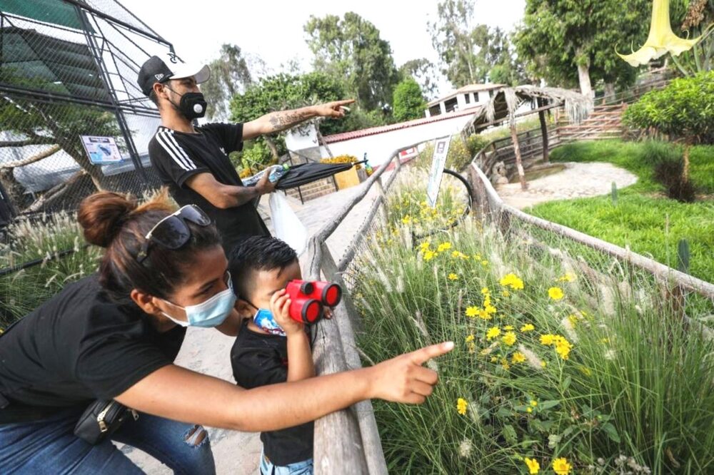 Feriados y días no laborables en Perú este 2022. Feriados y días no laborables en Perú este 2022.