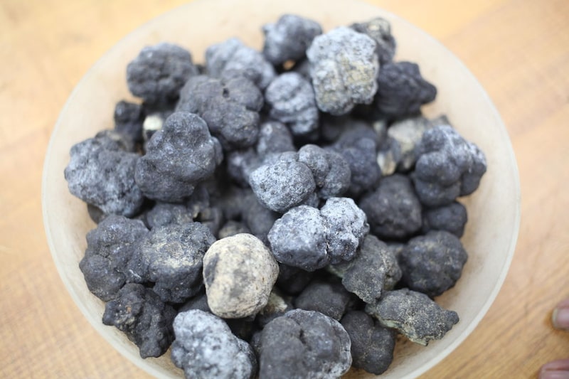 Negócio ocorre em meio à busca por novas fontes de minerais críticos, com foco em nódulos polimetálicos ricos em níquel, cobre e cobalto. (Foto: Pallava Bagla/Corbis via Getty Images) Negócio ocorre em meio à busca por novas fontes de minerais críticos, com foco em nódulos polimetálicos ricos em níquel, cobre e cobalto. (Foto: Pallava Bagla/Corbis via Getty Images)